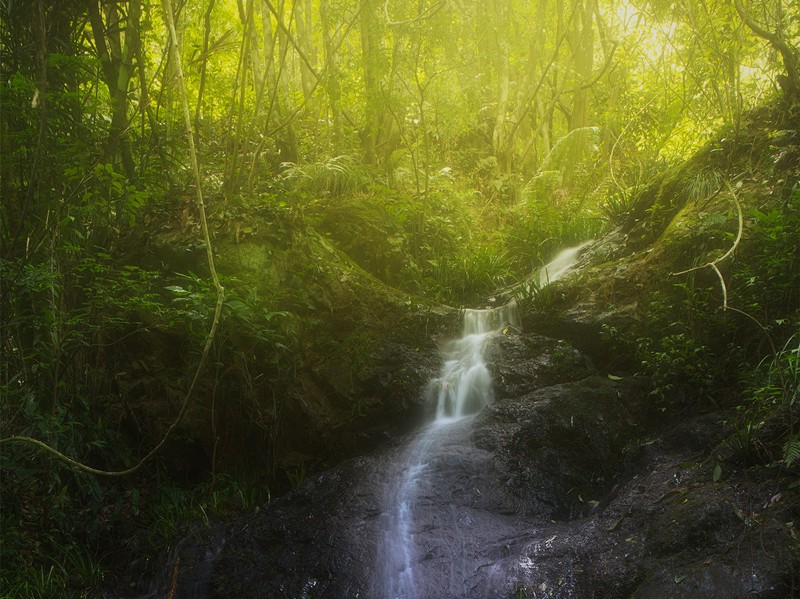 細(xì)水長流，持續(xù)學(xué)習(xí)，忘我工作，共建臻美臨臨——讀《細(xì)水長流，忘我工作，重建美麗家園》有感