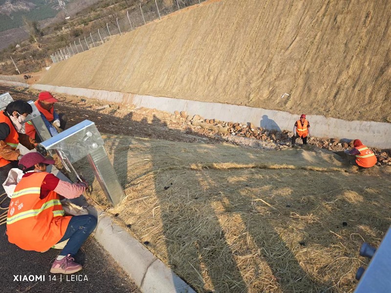 邊坡鋪設植物纖維毯_副本