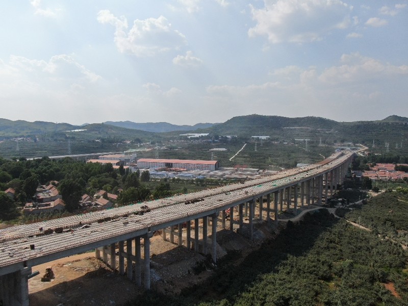 6-6、6月27日臨臨高速六標(biāo)苗莊特大橋圓滿完成全部T梁架設(shè)_副本