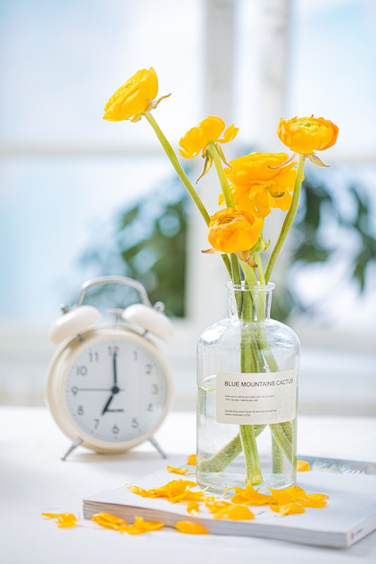 春將遠(yuǎn)，夏將至