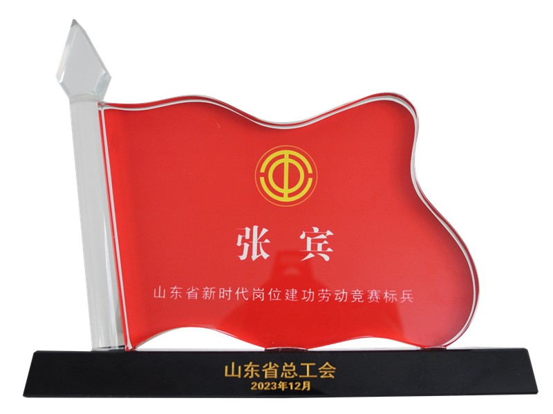 山東新時代崗位建功標(biāo)兵獎杯_副本_副本