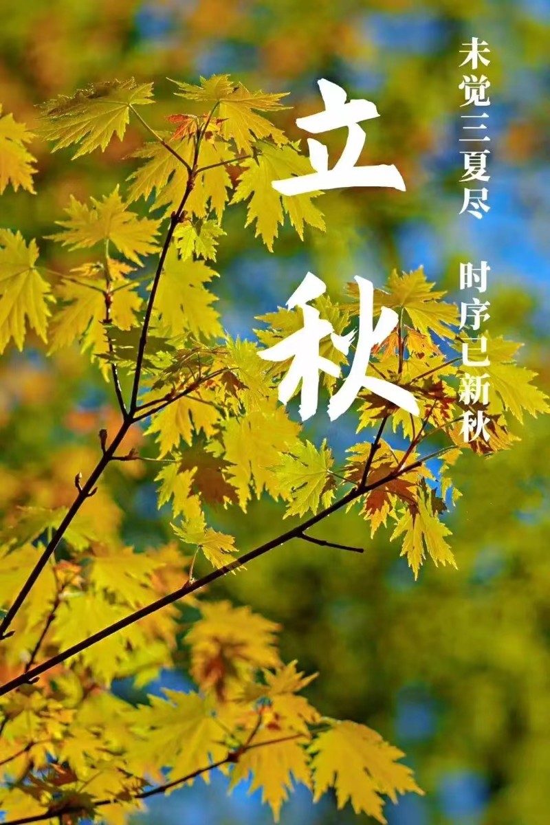 立秋風(fēng)起，心自清涼