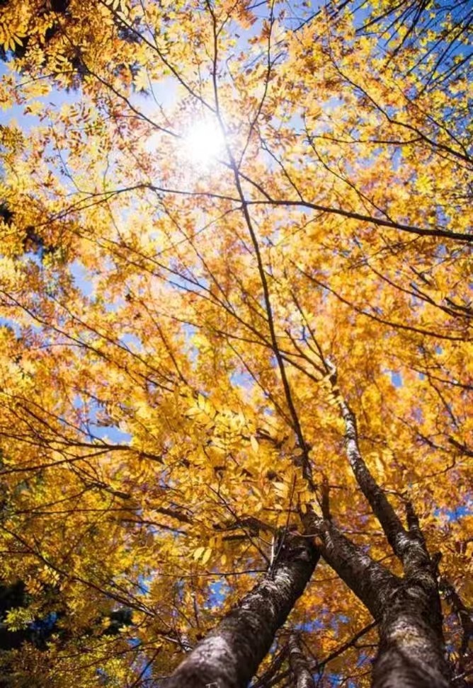 微信圖片_20241010081945 微信圖片_20241010081945