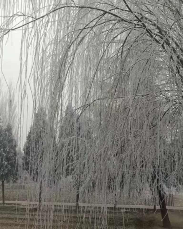 一季之寒，一世之暖