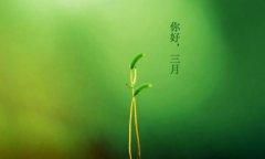 你好，三月！