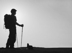 在路上的旅行箱