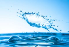 大醫(yī)無為治未病，潤物知時細無聲 ——談?wù)勎覀兊墓局卫砼c項目管理