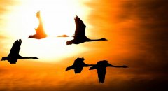 12月，你好！11月，再見(jiàn)！