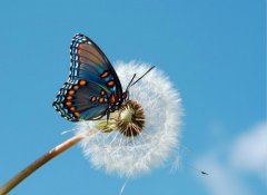 改變，從魯中公路開始