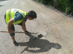 扎根魯中公路，綻放青春風采