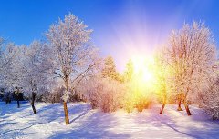 因為有你，這個冬天很溫暖