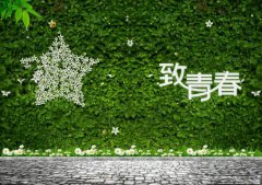 做好青春事，無悔公路情