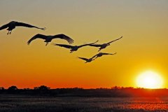 快樂(lè)工作， 微笑生活