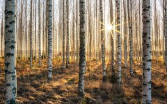 我與魯中公路共成長(zhǎng)