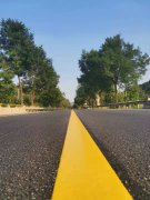 《那些年，那些來時的路》觀后有感