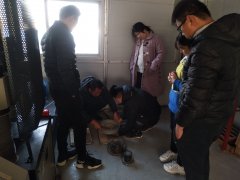 為則通達，學(xué)無止境