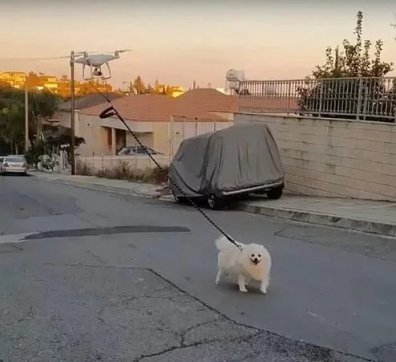 知恥而后勇，知弱而圖強(qiáng)