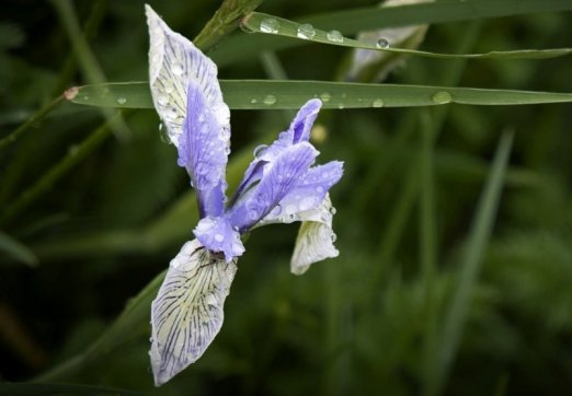 勸君惜取少年時(shí)——珍惜當(dāng)下不負(fù)韶華