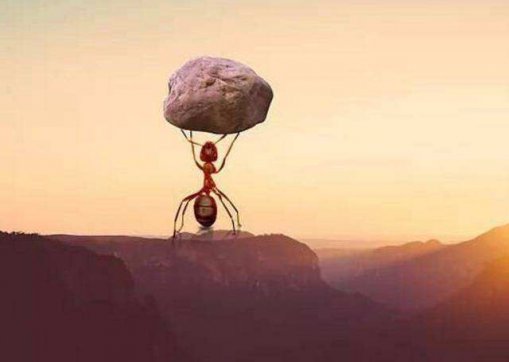 能扛事，不惹事，不怕事！