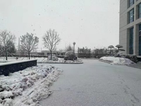 2020年的最后一場(chǎng)雪