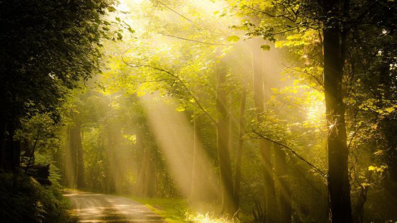 陽光溫暖的日子里請(qǐng)善待自己