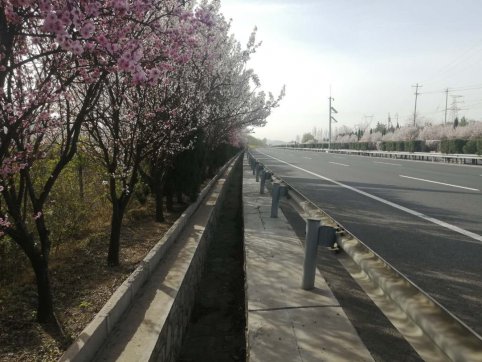 及時當勉勵，歲月不待人